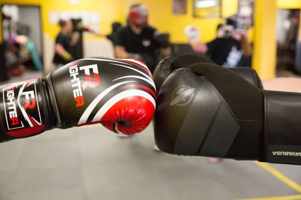 BETHPAGE’S TOP MARTIAL ARTS ACADEMY FOR FAMILIES!