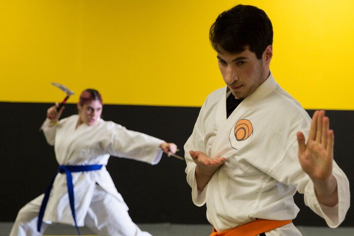 Transform Your Body and Mind with Adult Karate in Bethpage!